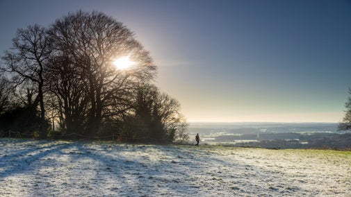 A silhouetted figure walks across the frosty donkey green with the wintry early morning sun casting a shadow through the trees.